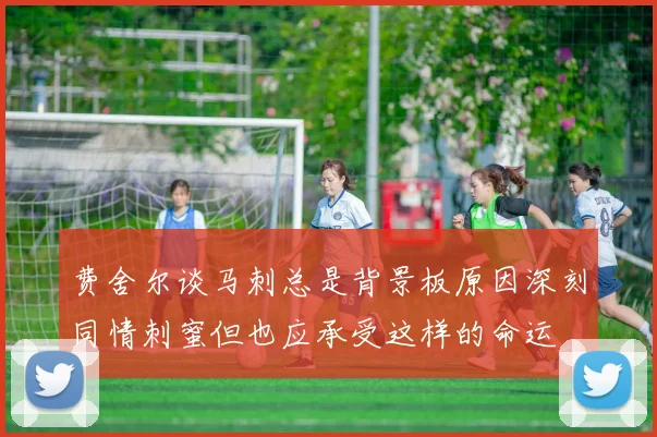 费舍尔谈马刺总是背景板原因深刻同情刺蜜但也应承受这样的命运
