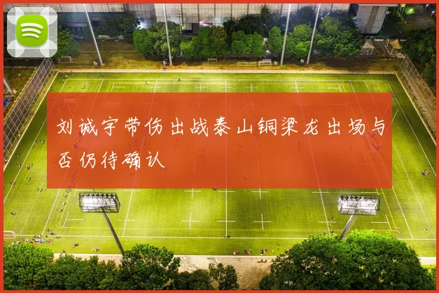 刘诚宇带伤出战泰山铜梁龙出场与否仍待确认
